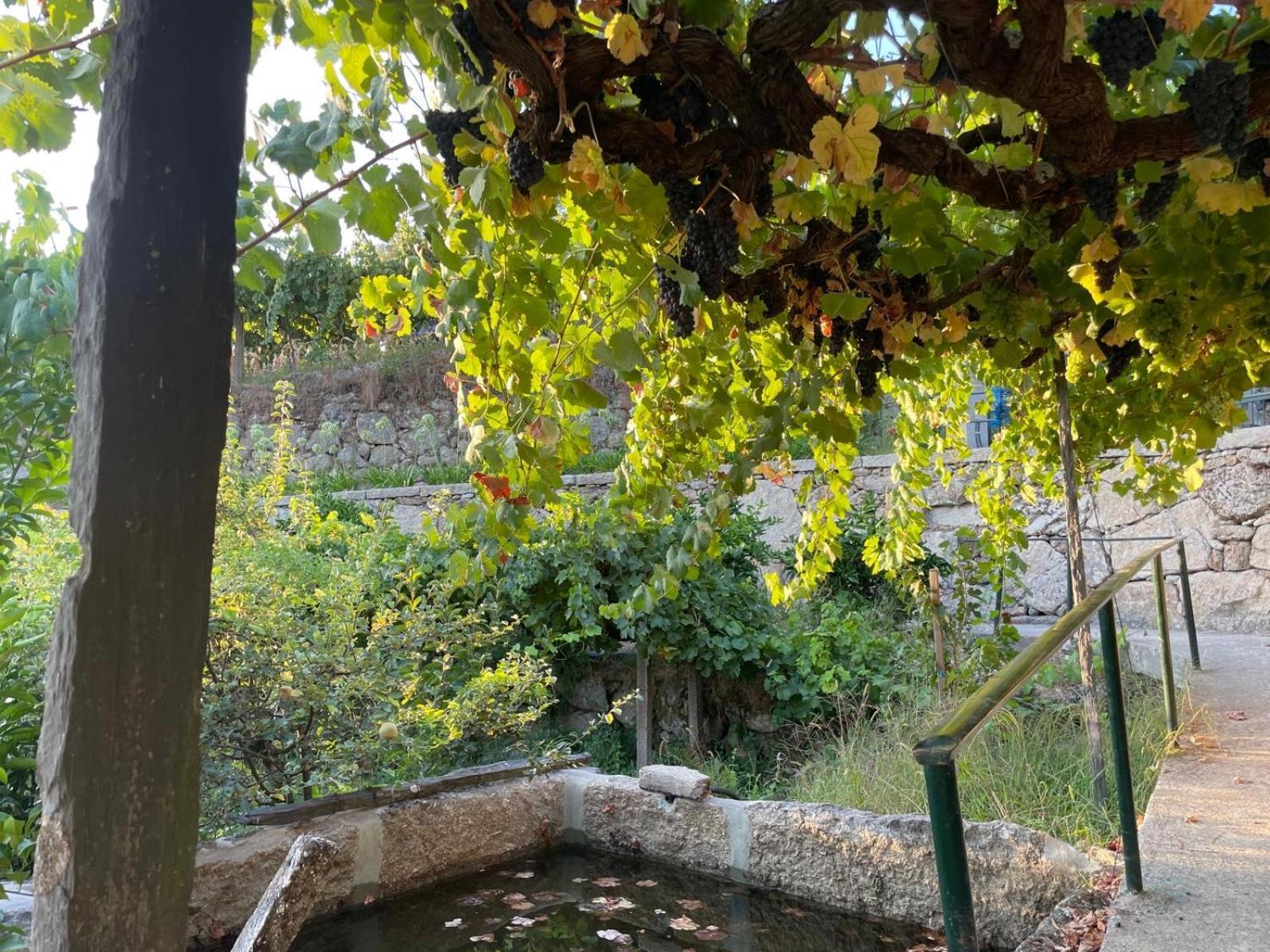 Quintinha De Pinouco Villa Resende Exteriör bild